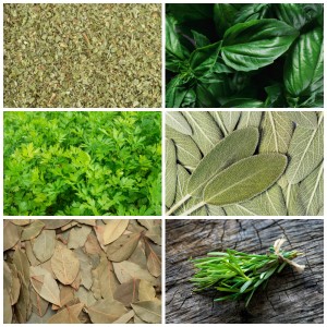 Italian Herbs