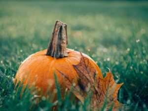 Toast to National Pumpkin Day with Basta Pasta 